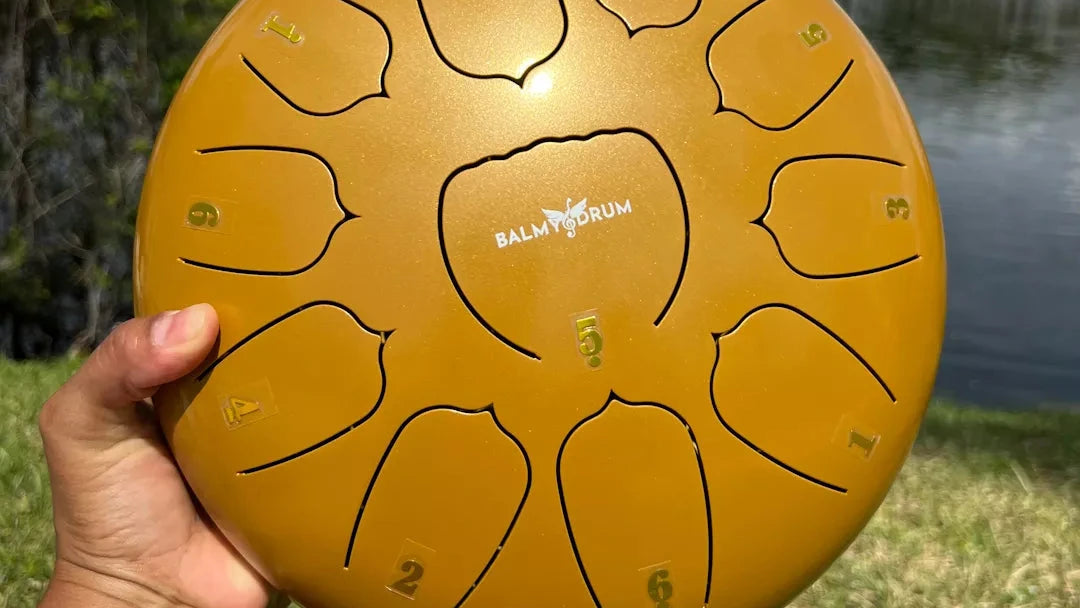 Load video: Watch children light up as they discover the magic of steel tongue drums.